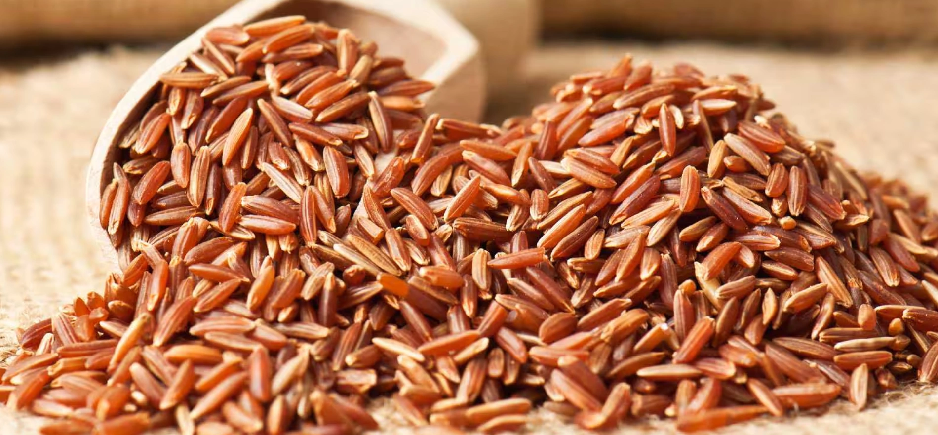 RED RICE